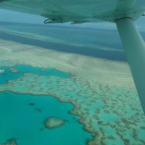 Meet your Posher, Margaret